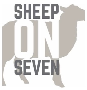 Sheep on 7